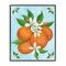 Stupell Industries Botanical Citrus Oranges Framed Giclee By Sarah Waldron Kimball